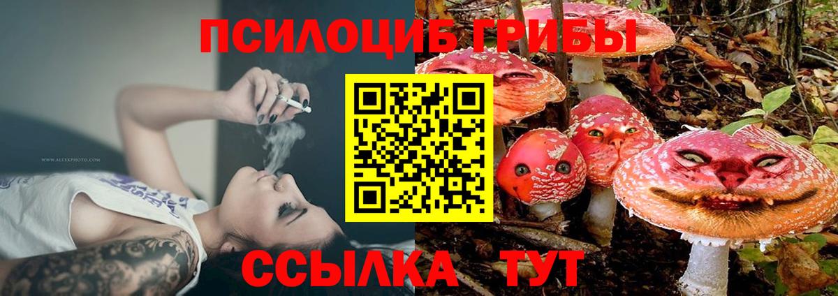 Псилоцибиновые грибы GOLDEN TEACHER Топки