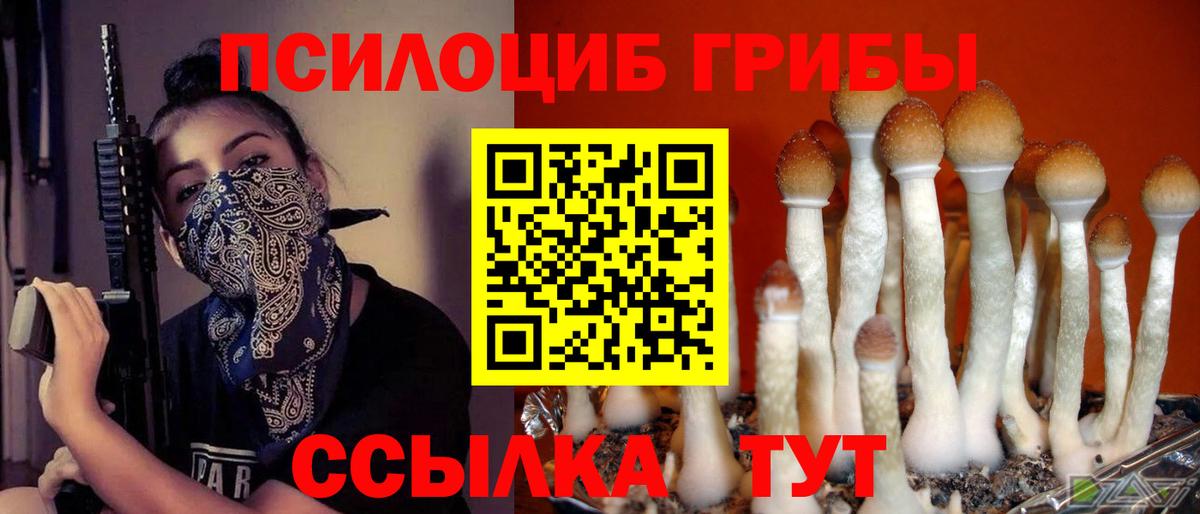 Галлюциногенные грибы Psilocybe  Псилоцибиновые грибы Magic Shrooms  Топки  Вход с VPN 